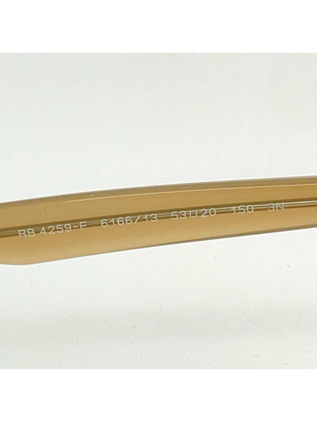 Ray-Ban ソノ他 RB4259-F