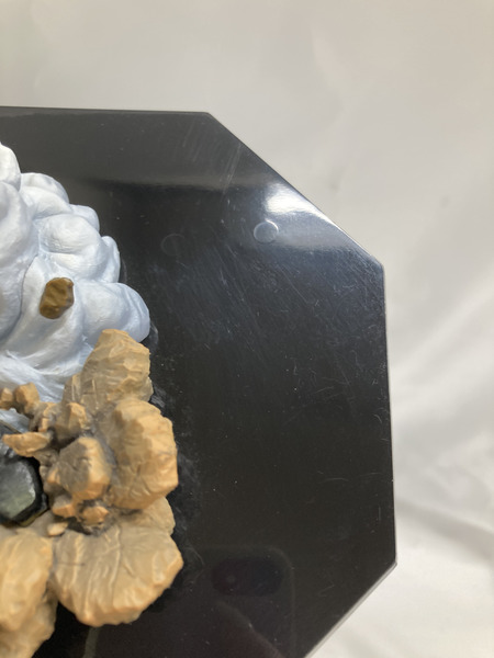 ワンピース FiguartsZERO エドワード