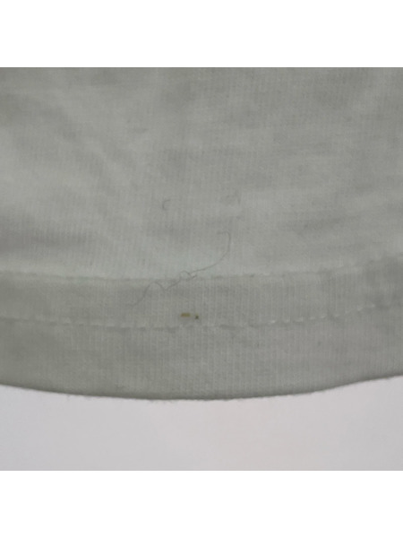 STUSSY 長袖Tシャツ・カットソー ラグラン 七分丈 (M) 白緑