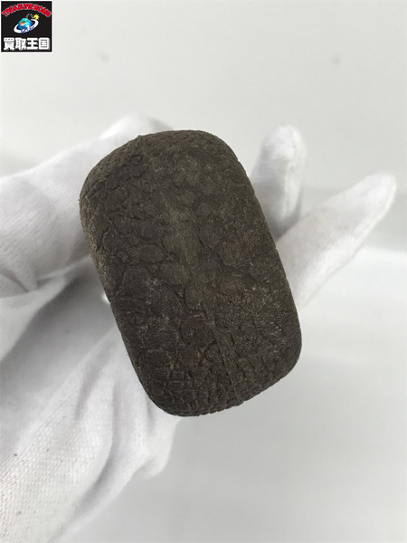 fenwick　ジャパングリップ