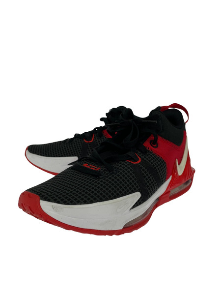 NIKE スニーカー LEBRON WITNESS 7 /29.0cm