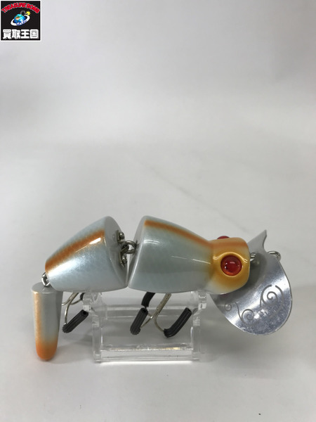 サクラハウス　ツチノコ　オス