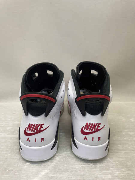 NIKE Air Jordan 6 "ｃａｒｍｉｎｅ 30.0 白 CT8529-106