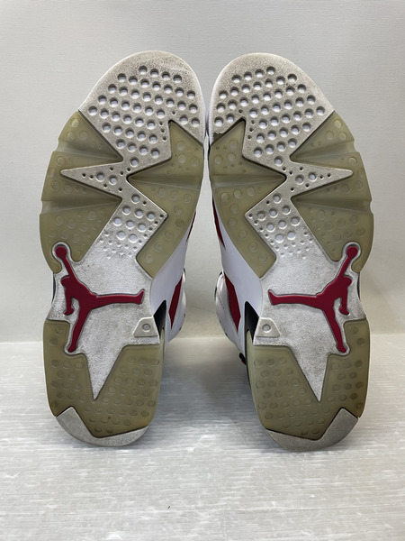 NIKE Air Jordan 6 "ｃａｒｍｉｎｅ 30.0 白 CT8529-106