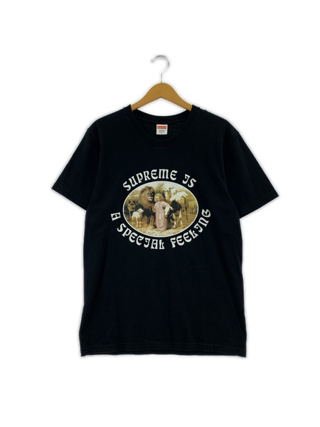 Supreme 半袖Tシャツ・カットソー 16AW Special Feeling Tee M