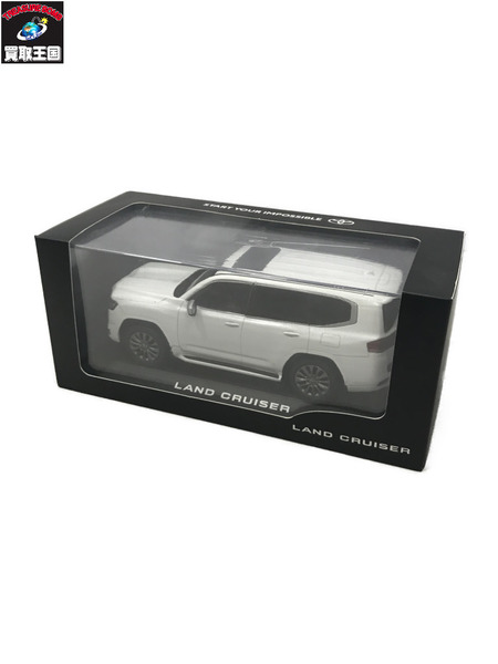 カラーサンプル 1/30 ランドクルーザー 090 プレシャスホワイトパール