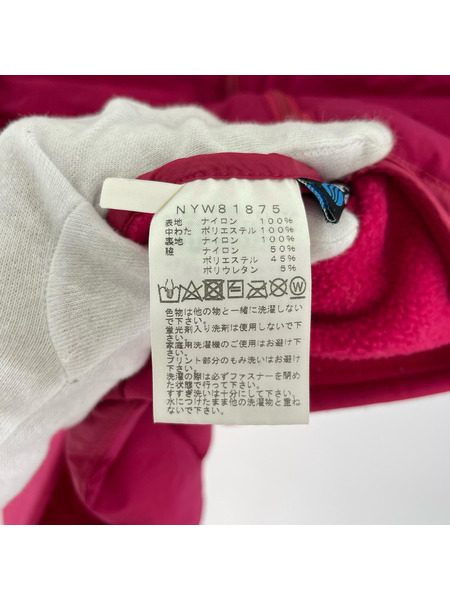 THE NORTH FACE ダウンベスト RED RUN PRO VEST