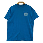 HANES USA製 S/S TEE L 青