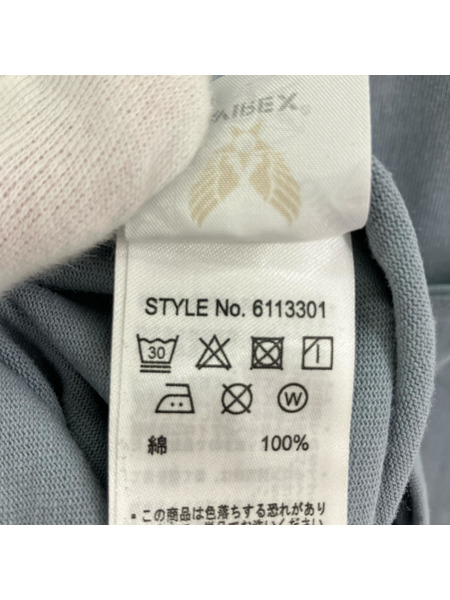 AVIREX 長袖Tシャツ・カットソー 水色 (L)