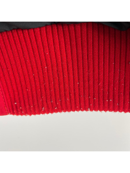 THE NORTH FACE ダウンジャケット Gotham Jacket NP51806Z レッド