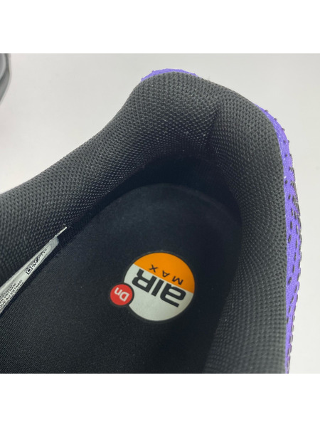 NIKE スニーカー AIR MAX DN SE 28.5cm