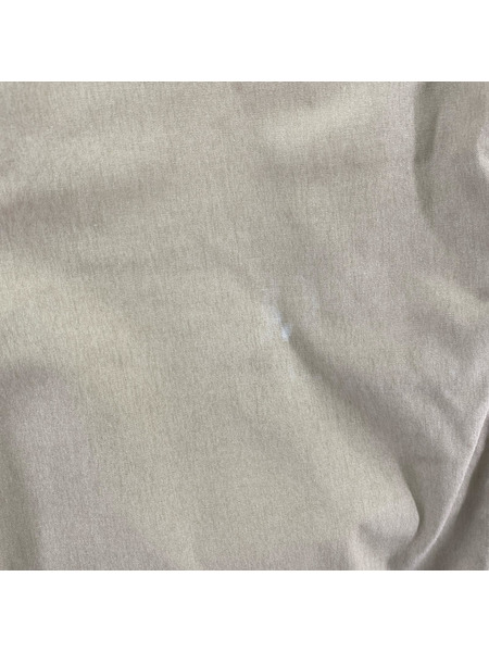 THE NORTH FACE PURPLE LABEL パンツ チノパンツ ベージュ