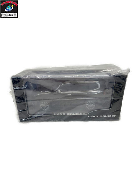 カラーサンプル ランドクルーザー300 ブラック