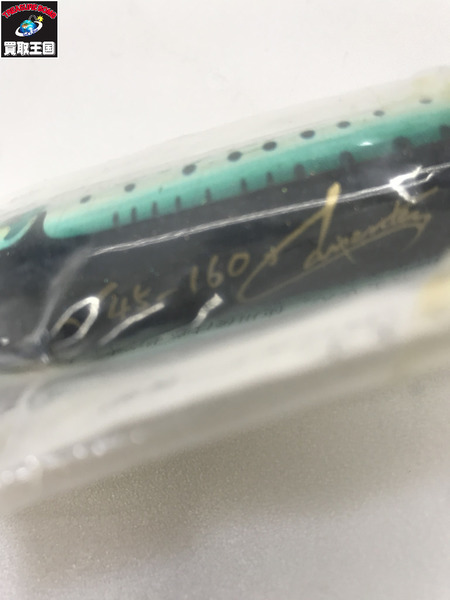 ルアー カーペンター　γ45-160