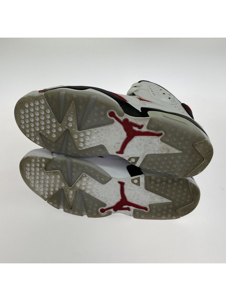 NIKE スニーカー AIR JORDAN 6 カーマイン 28.5cm CT8529-106