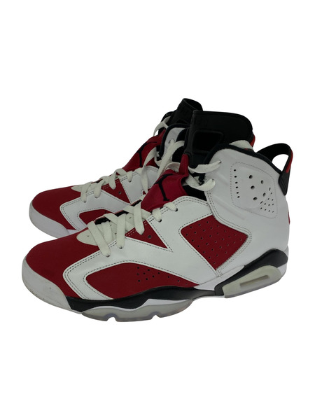 NIKE スニーカー AIR JORDAN 6 カーマイン 28.5cm CT8529-106