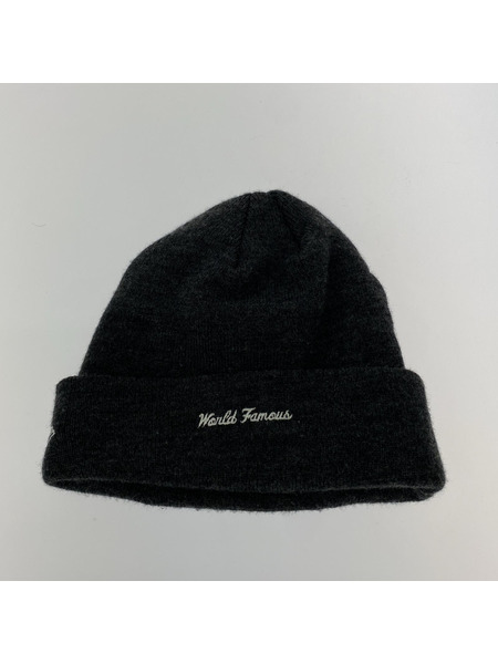 Supreme ニットキャップ BOX LOGO BEANIE｜商品番号