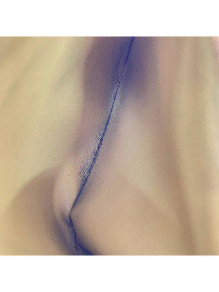 コンパクトウォレット Bottega Veneta/二ツ折リ財布/YEL[値下]