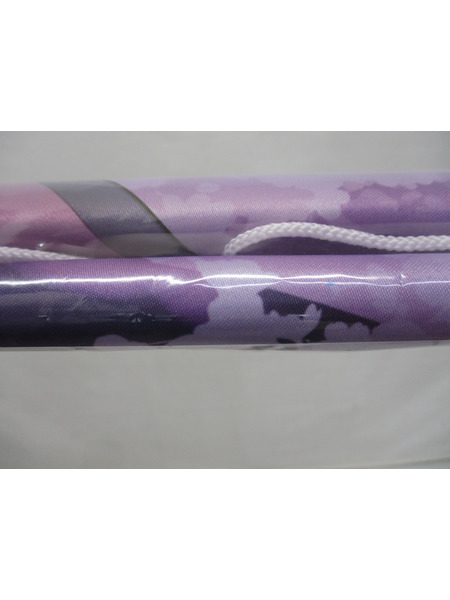 メーカー 美少女その他 イレイナ 夜桜 描き下ろし特大タペストリー