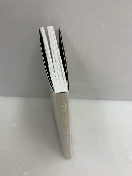 美少女戦士セーラームーン レゾネ ART WORKS 1991~2023 ペーパーバック  武内 直子 (著)