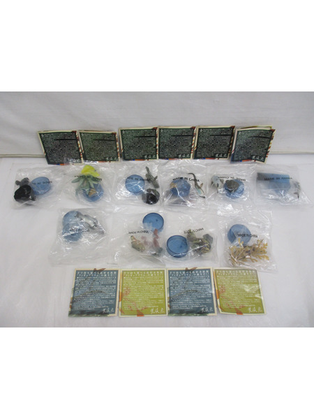 JPその他 荒俣宏　海洋堂　新江ノ島水族館