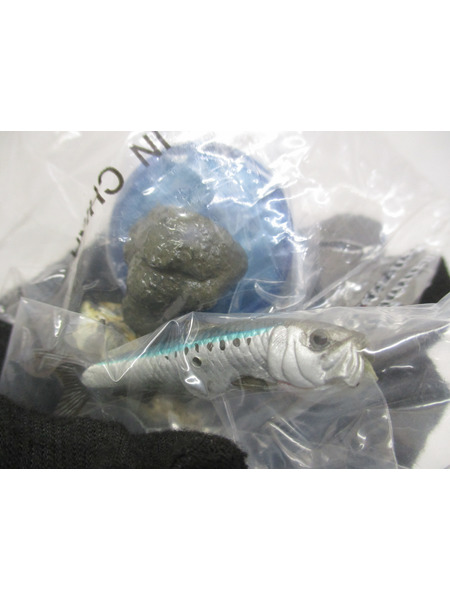 JPその他 荒俣宏　海洋堂　新江ノ島水族館