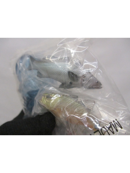 JPその他 荒俣宏　海洋堂　新江ノ島水族館