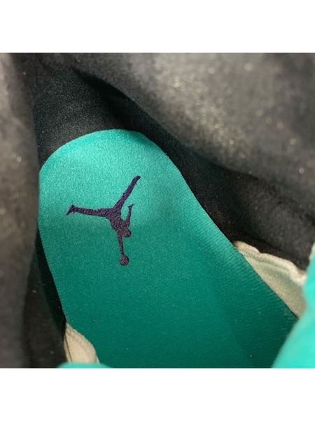 NIKE スニーカー AIR JORDAN 5 RETRO GRAPE 28.0cm