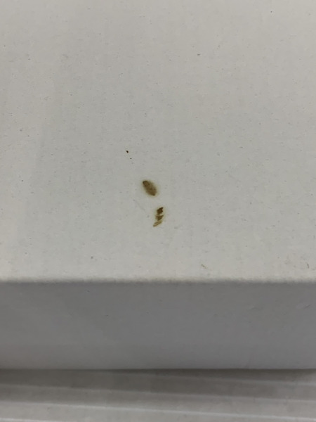 その他グッズ 美少女その他 矢沢あい展 NANA イチゴのペアグラス