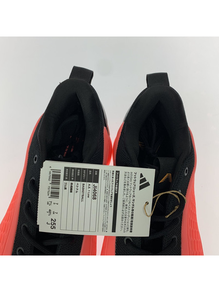 adidas スニーカー AE1