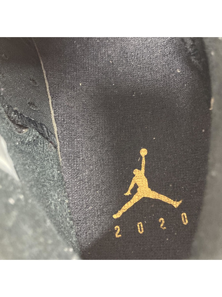 NIKE AIR JORDAN 6 RETRO DMP 29.5cm[値下]