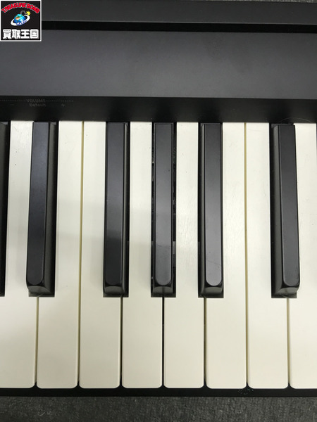 Roland 電子ピアノ FP-10