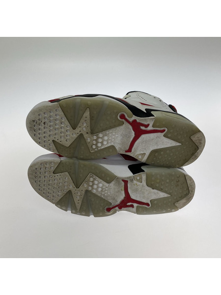 NIKE スニーカー Air Jordan 6 Carmine 2021