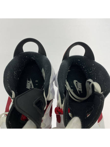 NIKE スニーカー Air Jordan 6 Carmine 2021