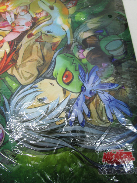 5.遊戯王 デュエルフィールド 精霊術の使い手