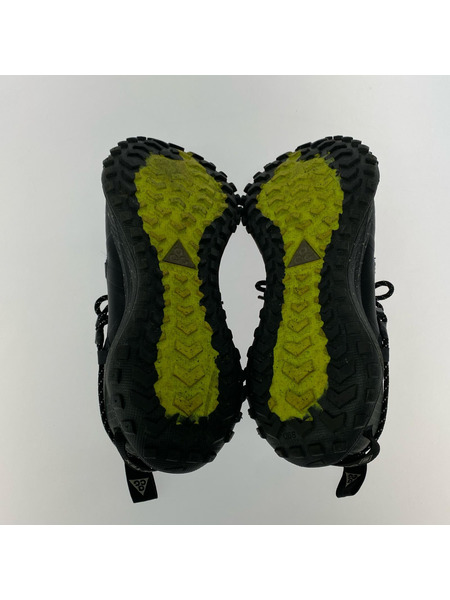 NIKE スニーカー ACG MOUNTAIN FLY LOW GTX SE 28.5cm