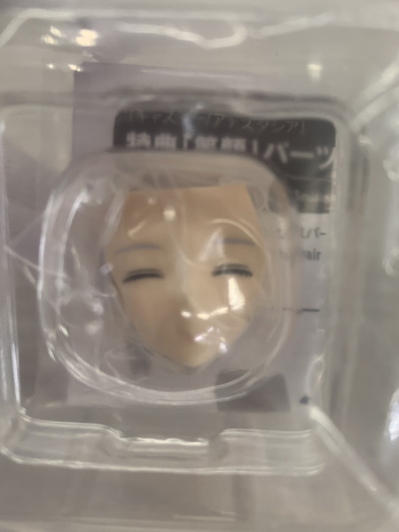 メーカー Fate Fate/Grand Order コトブキヤ キャスター/アナスタシア