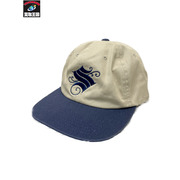 STUSSY 22AW PINSTRIPE CAP 刺繍キャップ