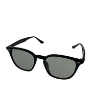 Ray-Ban ソノ他 RB-4258-F