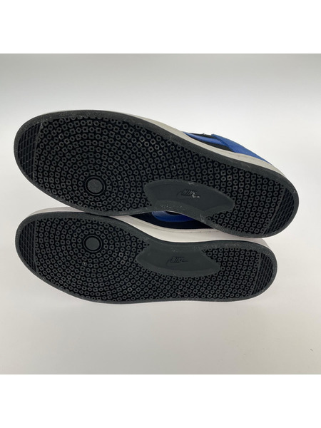 NIKE SB スニーカー Alleyoop 青 27