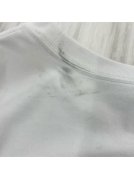 NIKE 半袖Tシャツ・カットソー ACG NRG LBR LUNGS S/S TEE[値下]