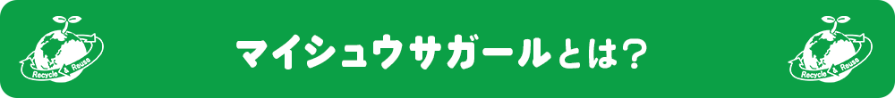 「マイシュウサガール」とは、買取王国業態において、一定期間以上売れ残った商品を中心にお値打ち価格で販売するアウトレット業態です。